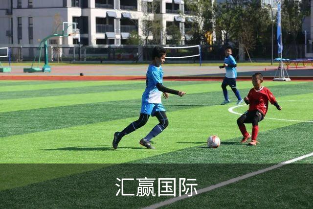 汇赢国际